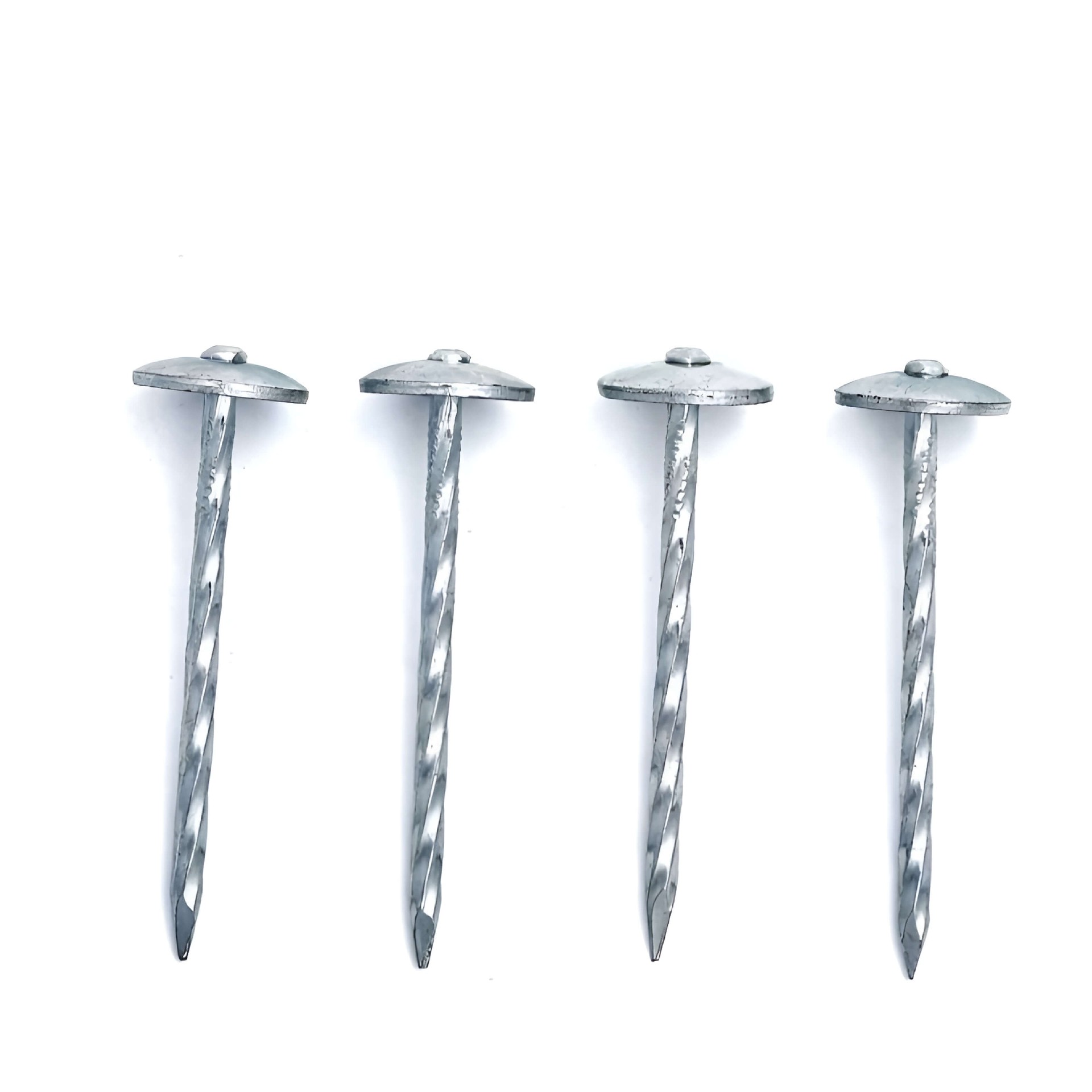 Roofing Nails
